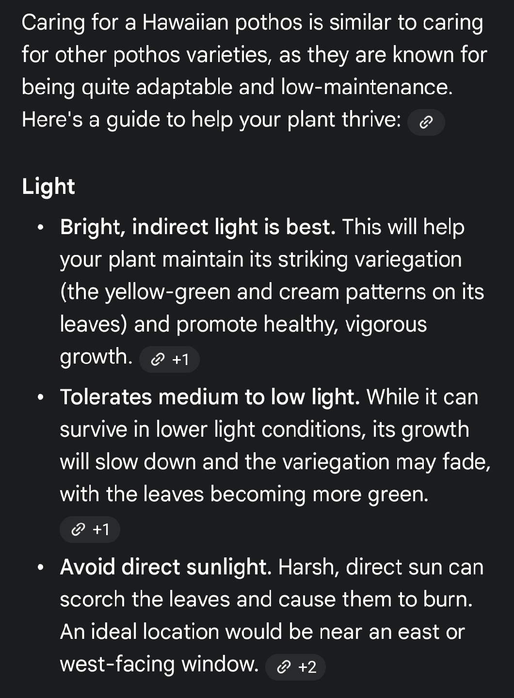 Golden Hawaiian Pothos Plant - photo 5