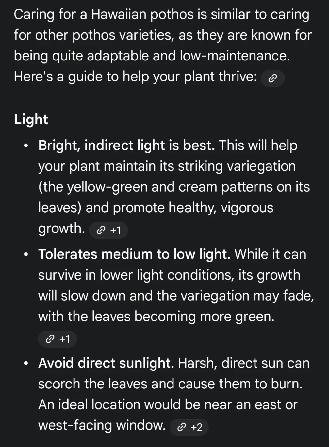 Golden Hawaiian Pothos Plant image indicator(5)