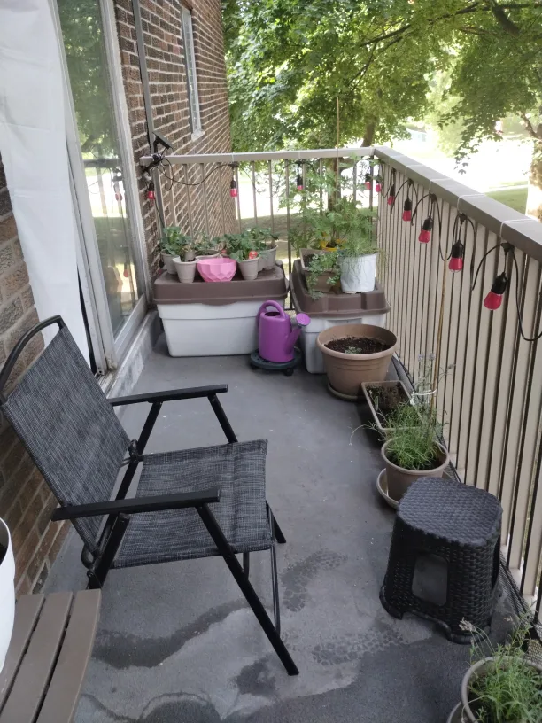 everything must Go moving quickly image indicator(3)