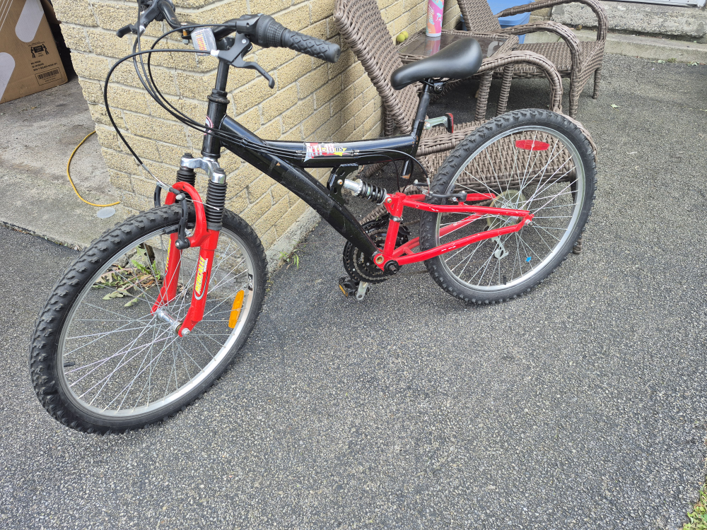 FREE Mountain Bike 🥕
