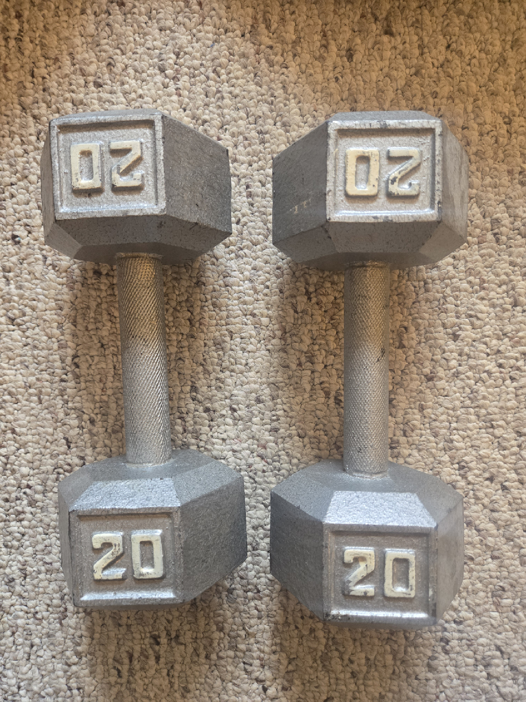 Pair of 20lb Dumbbells