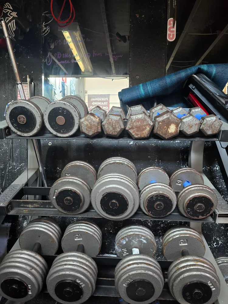 steel dumbbells and Ivanko Rack image indicator(6)