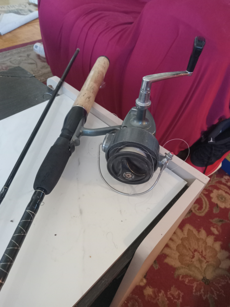 Daiwa Fishing Reel and Rod Combo - photo 2