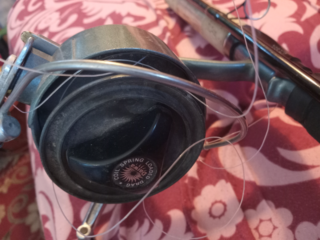 Daiwa Fishing Reel and Rod Combo - photo 3