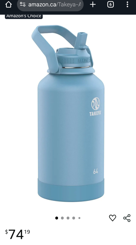 LARGE! Takey Insulated S/S Bottle - photo 2