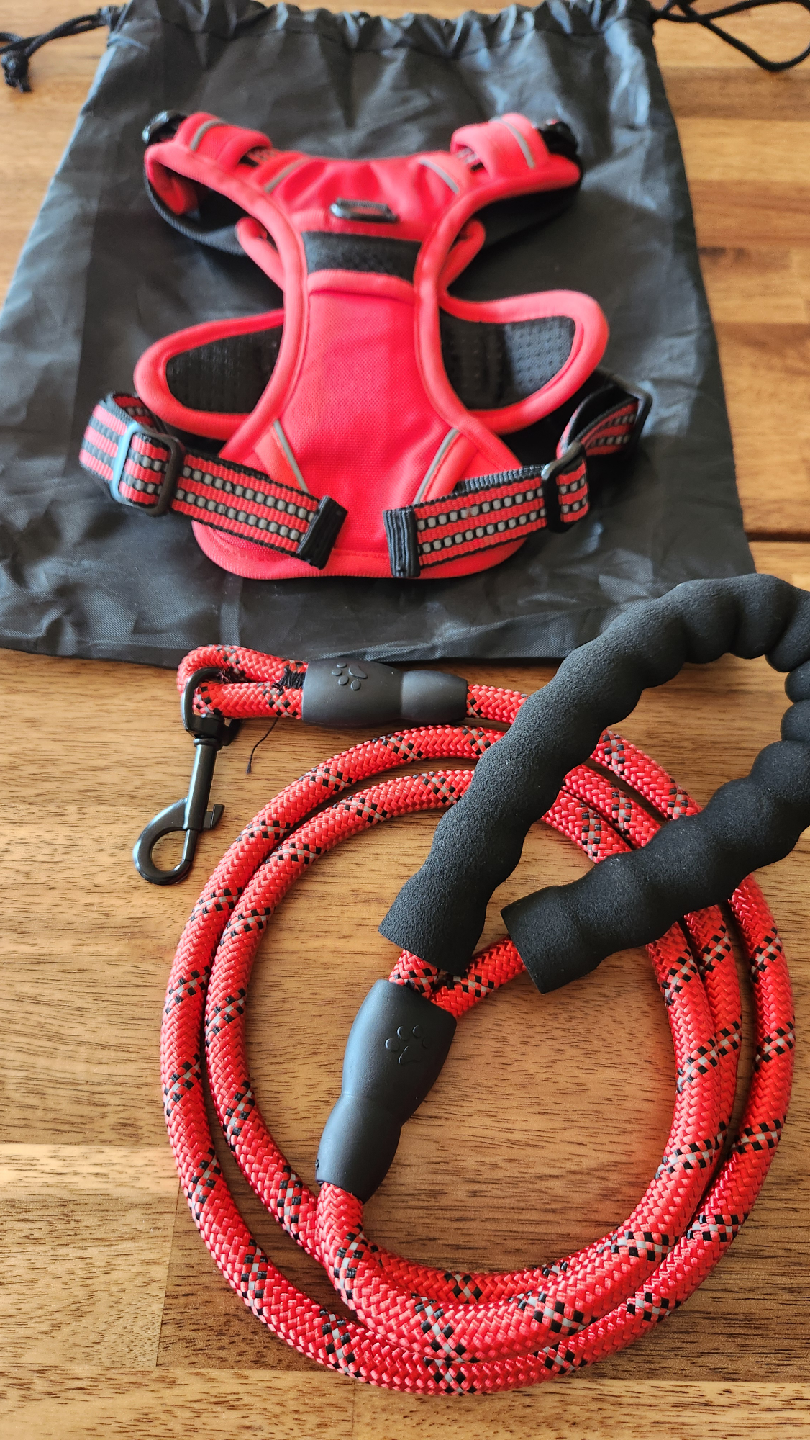 No-Pull Dog/Cat Harness with Leash S *new