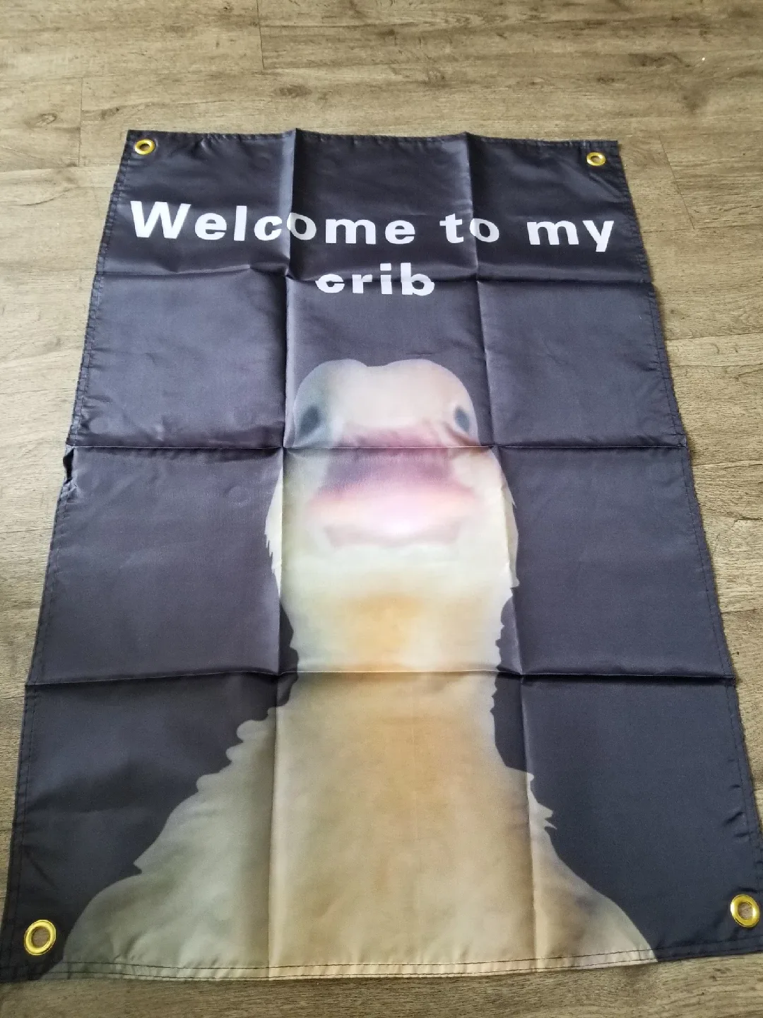 "Welcome to my crib" Decorative Flag thumbnail