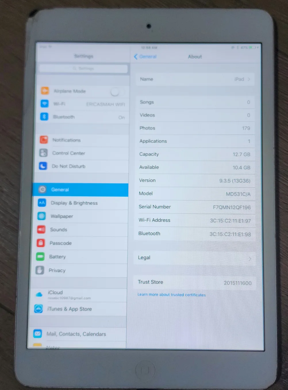 Apple iPad Mini image indicator(3)