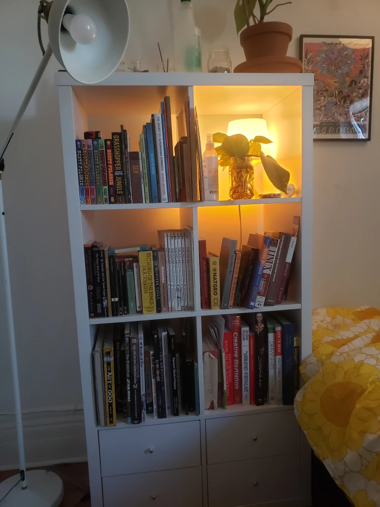 White Bookcase