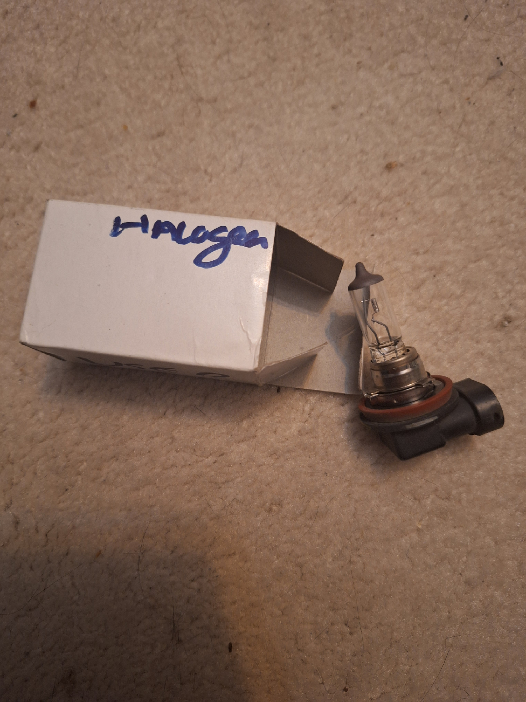 H11 12V 100W Super White Halogen Bulb 💡