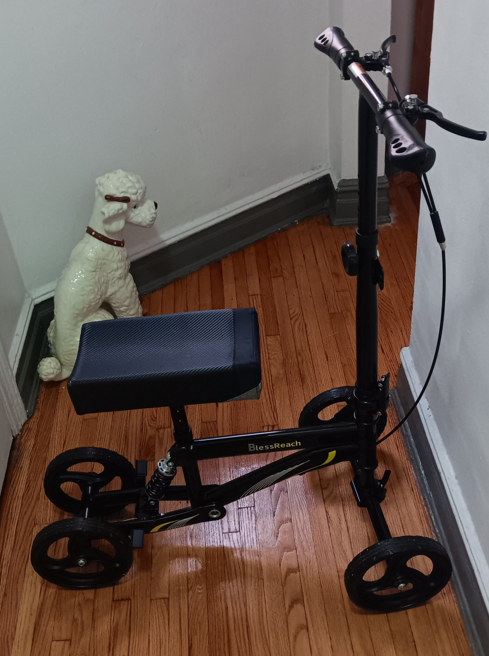 BlessReach Knee Walker Scooter - photo 2