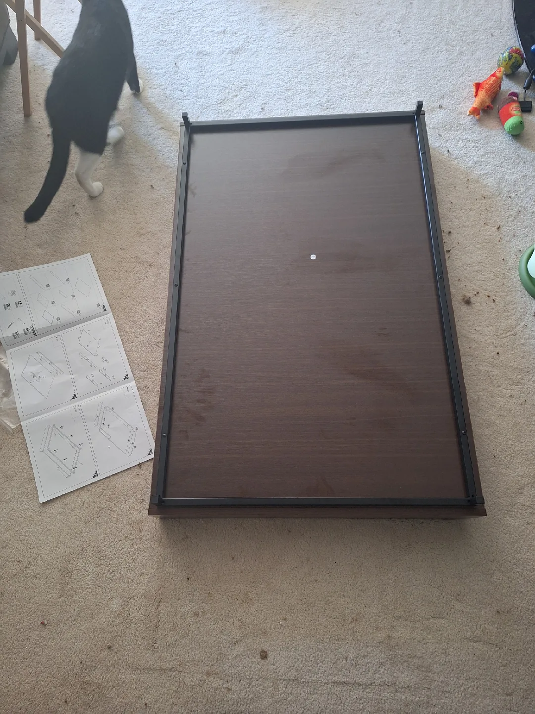 NEW Large PawHut Dog Bed with Grey Cushion 🐾 image indicator(3)