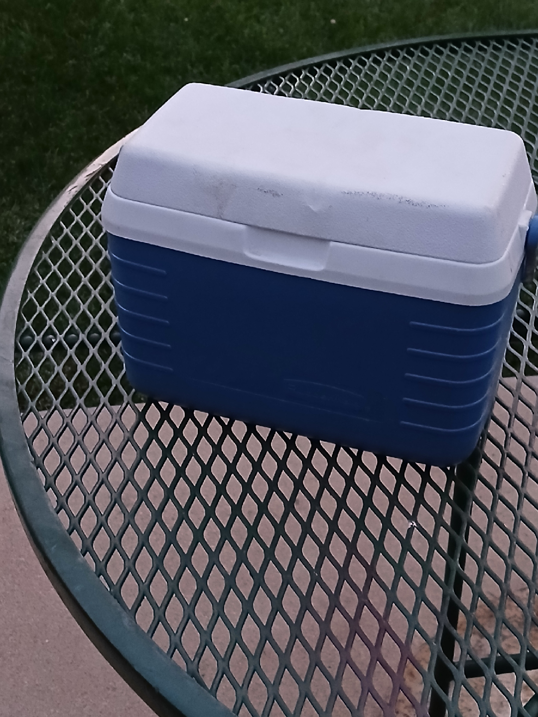 Rubbermaid Blue Cooler - photo 3