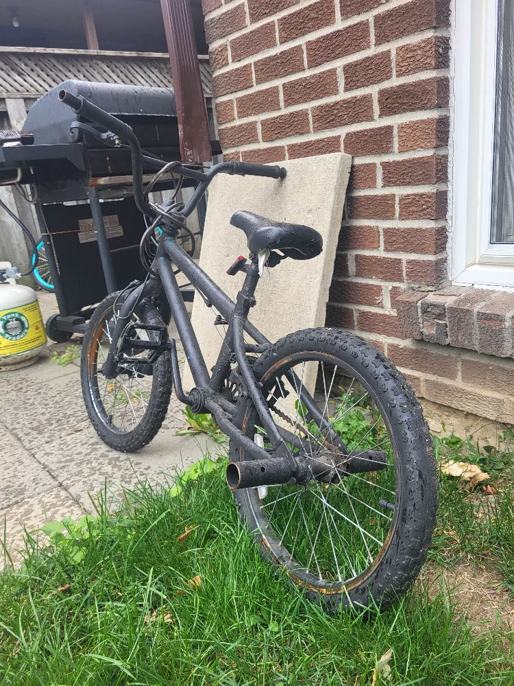 2022 bmx kids bike image indicator(6)