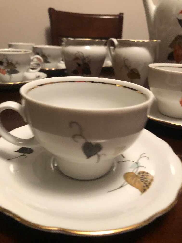 Kahla GDR Tea Set 12 person image indicator(4)