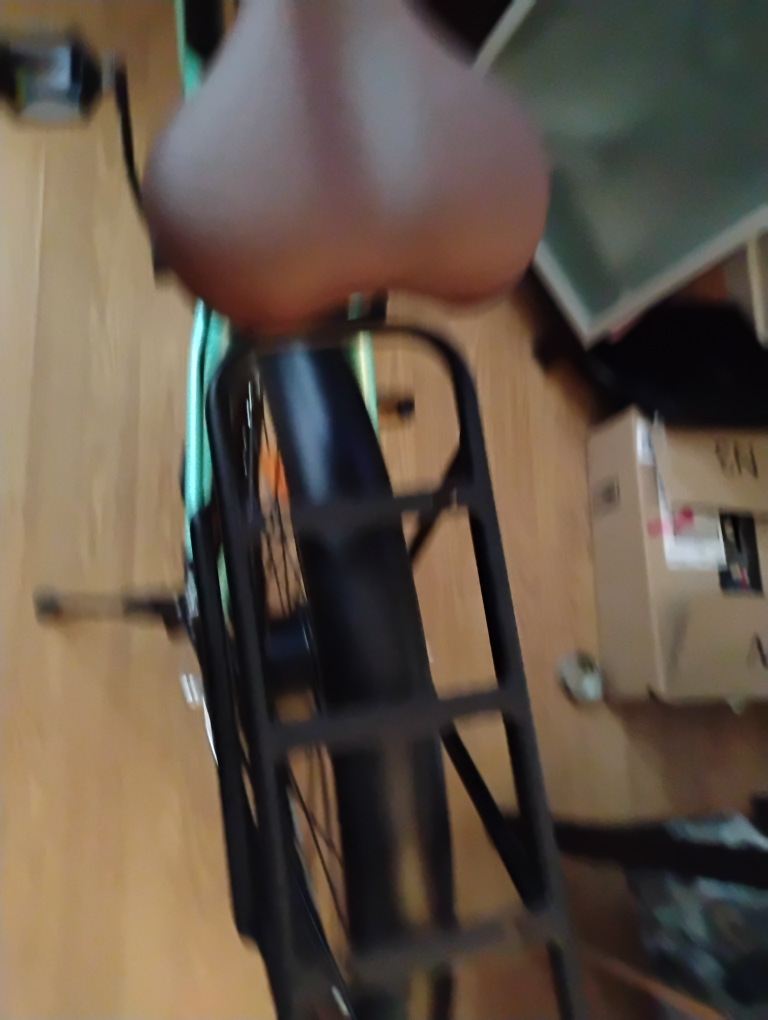 5th Wheel Electric Bicycle - photo 5