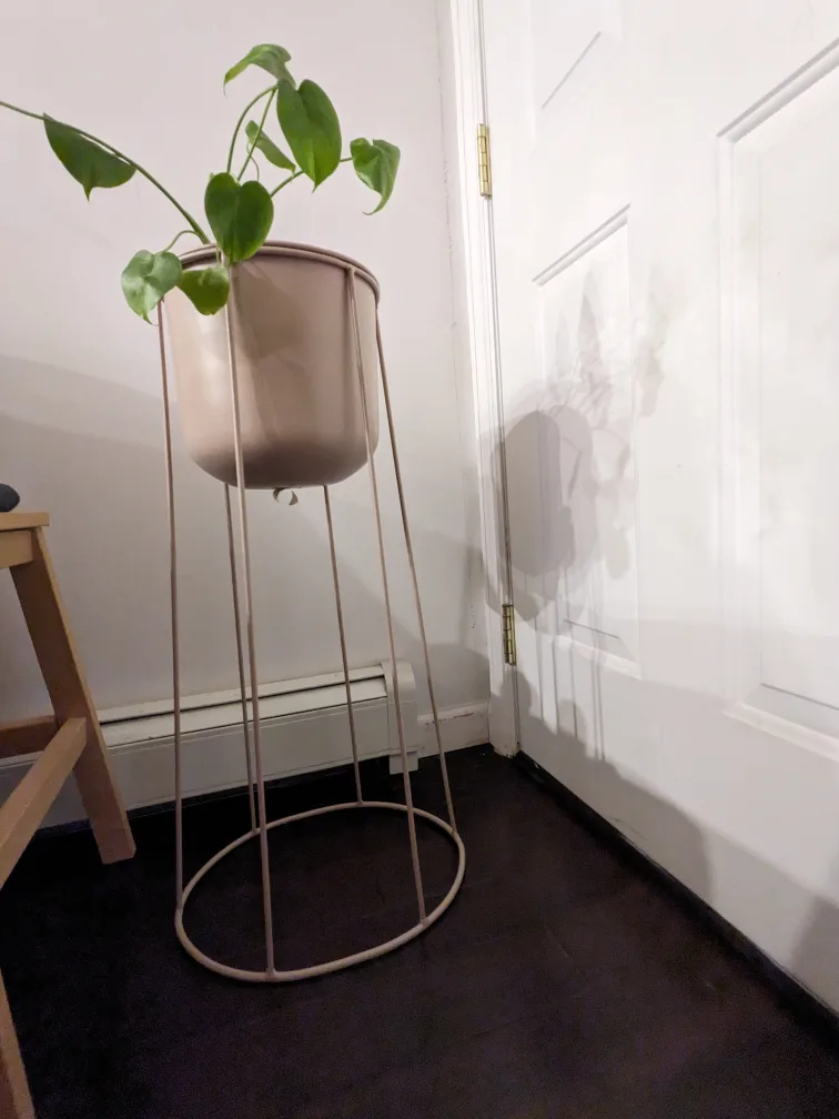 🥕Celeste Plant Stand  $90 image indicator(4)