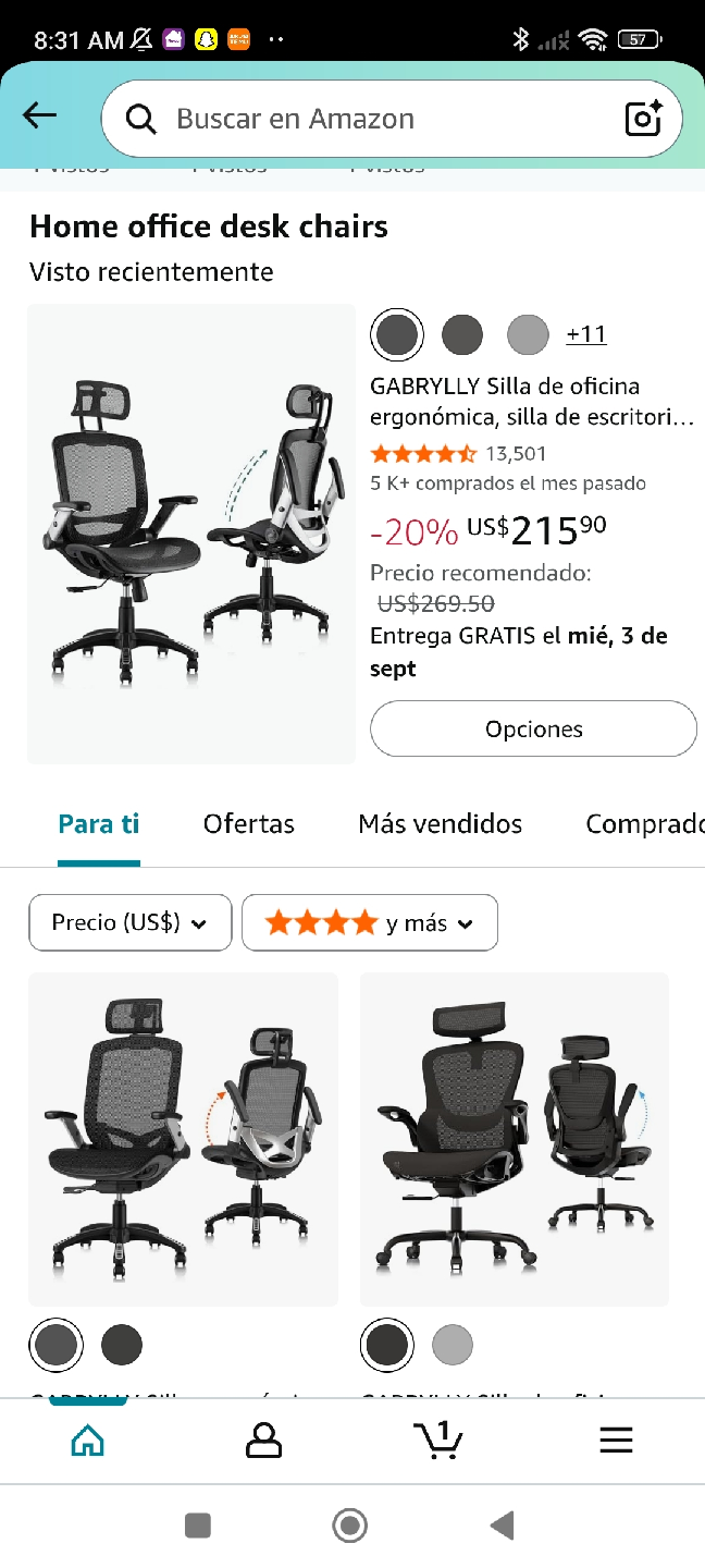 GABRYLLY Ergonomic Office Chair