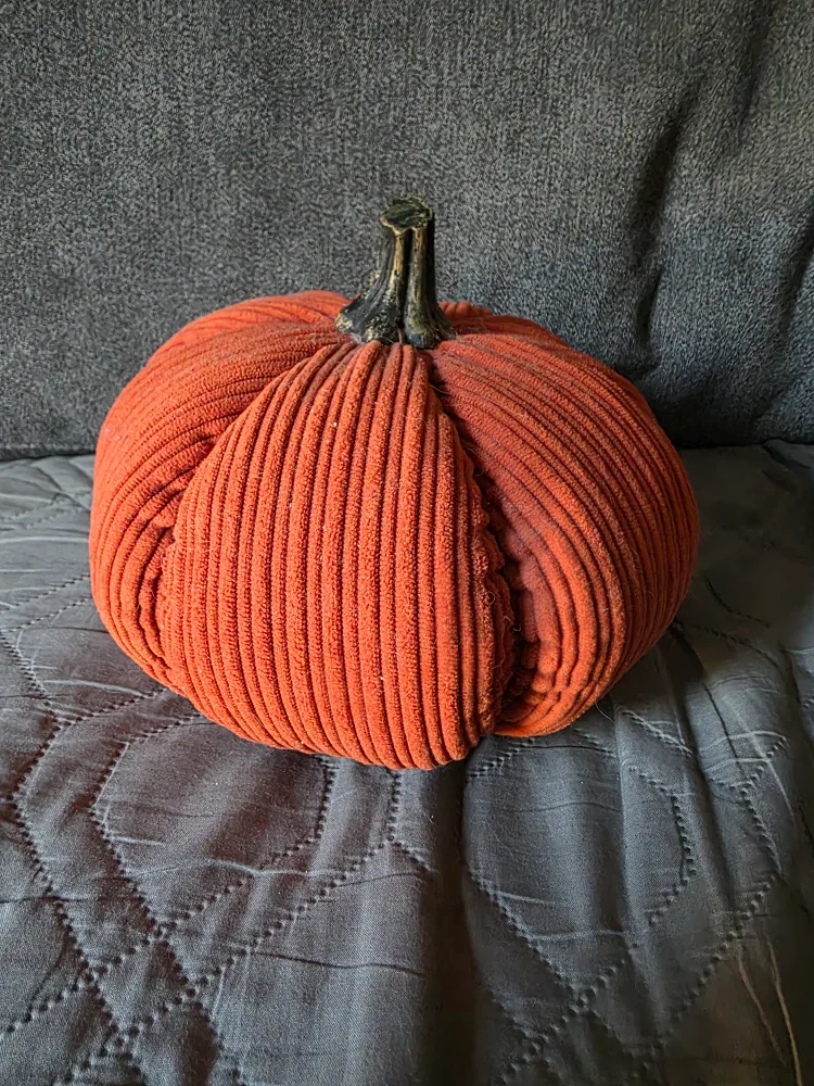 Soft orange pumpkin thumbnail