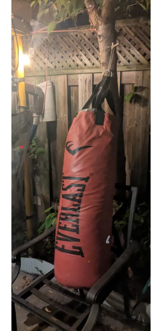 Everlast Punching Bag (RED) image indicator(2)