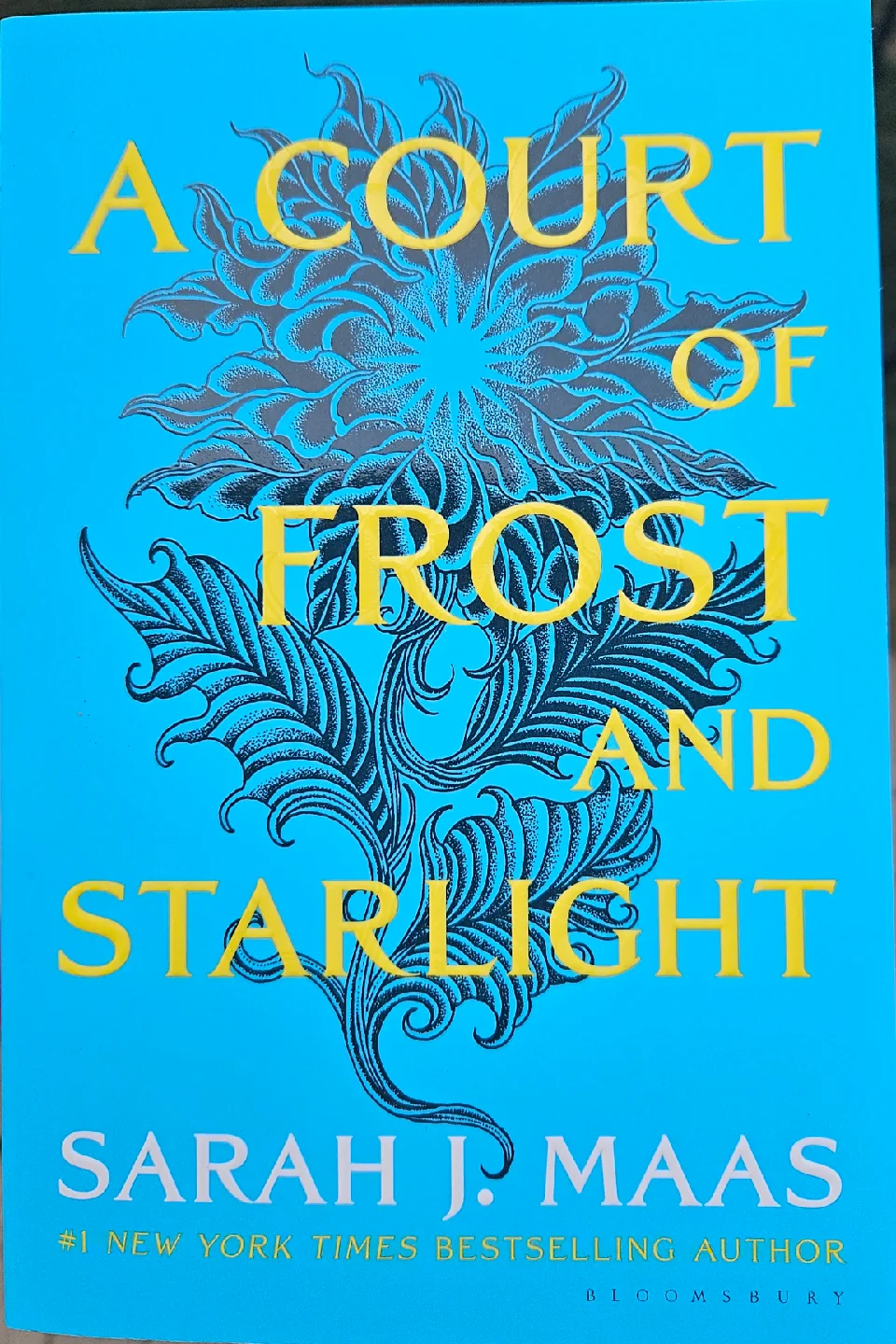 A Court of Thorns and Roses Series by Sarah J. Maas image indicator(2)