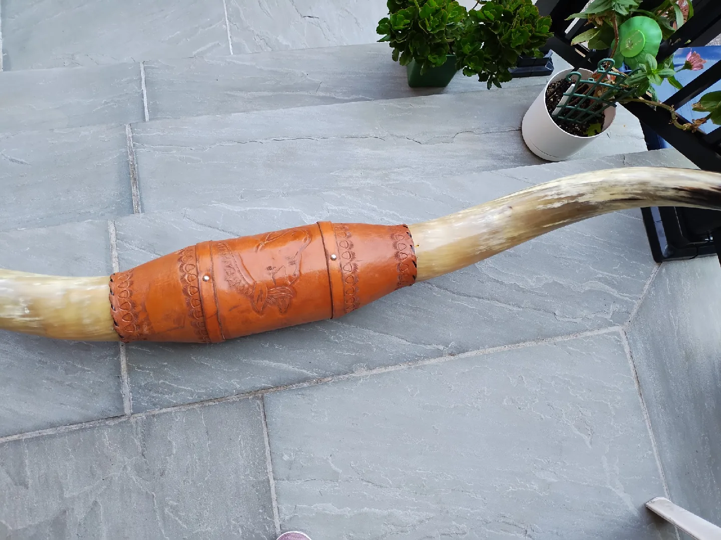 Decorative Carved LongHorn With Leather image indicator(3)