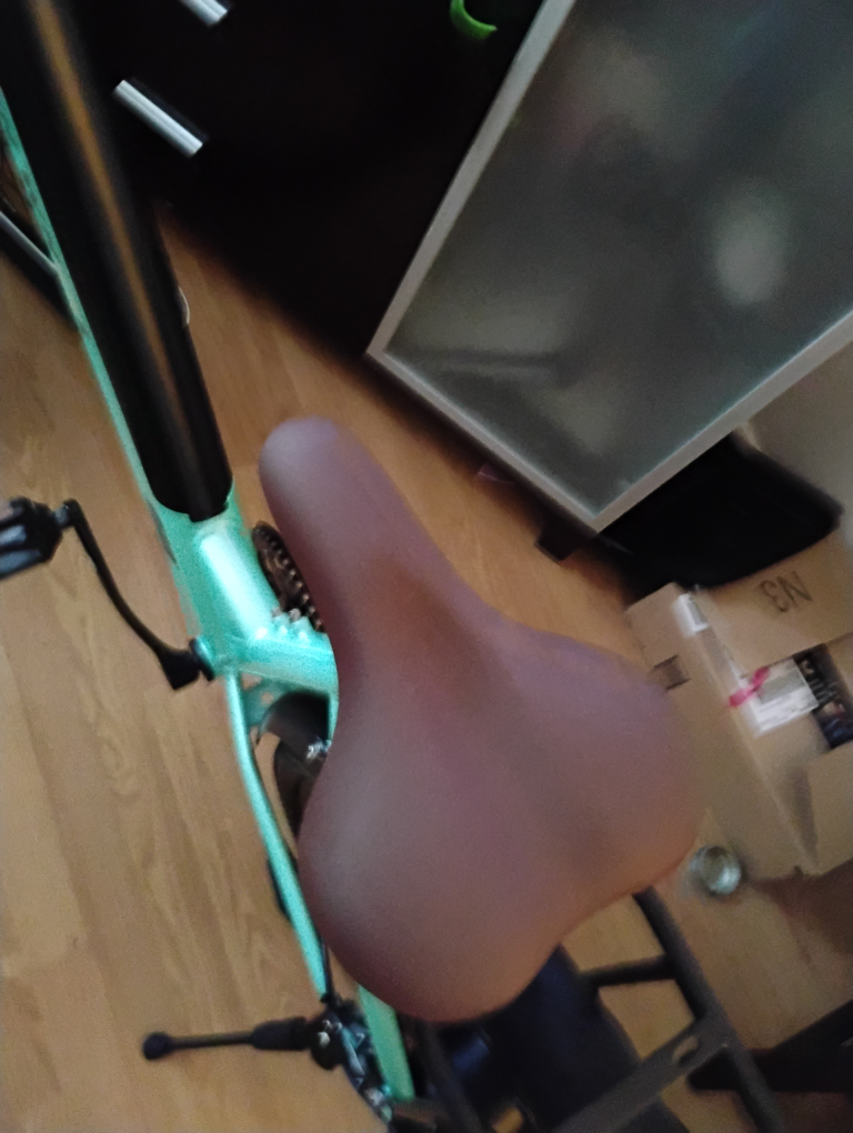 5th Wheel Electric Bicycle - photo 4