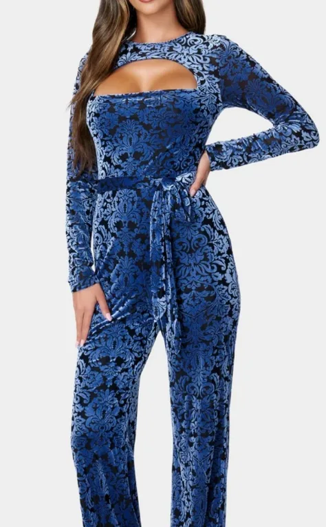 Velvet Burnout Jumpsuit thumbnail