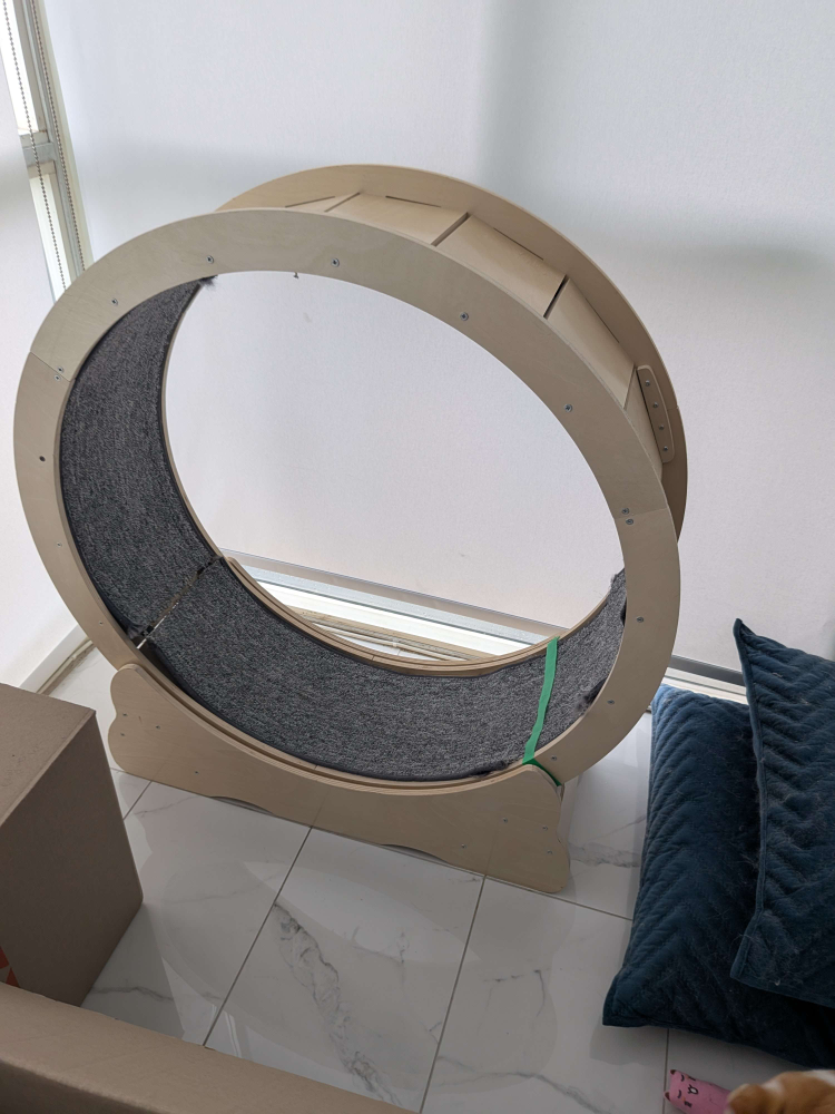 Cat Exercise Wheel