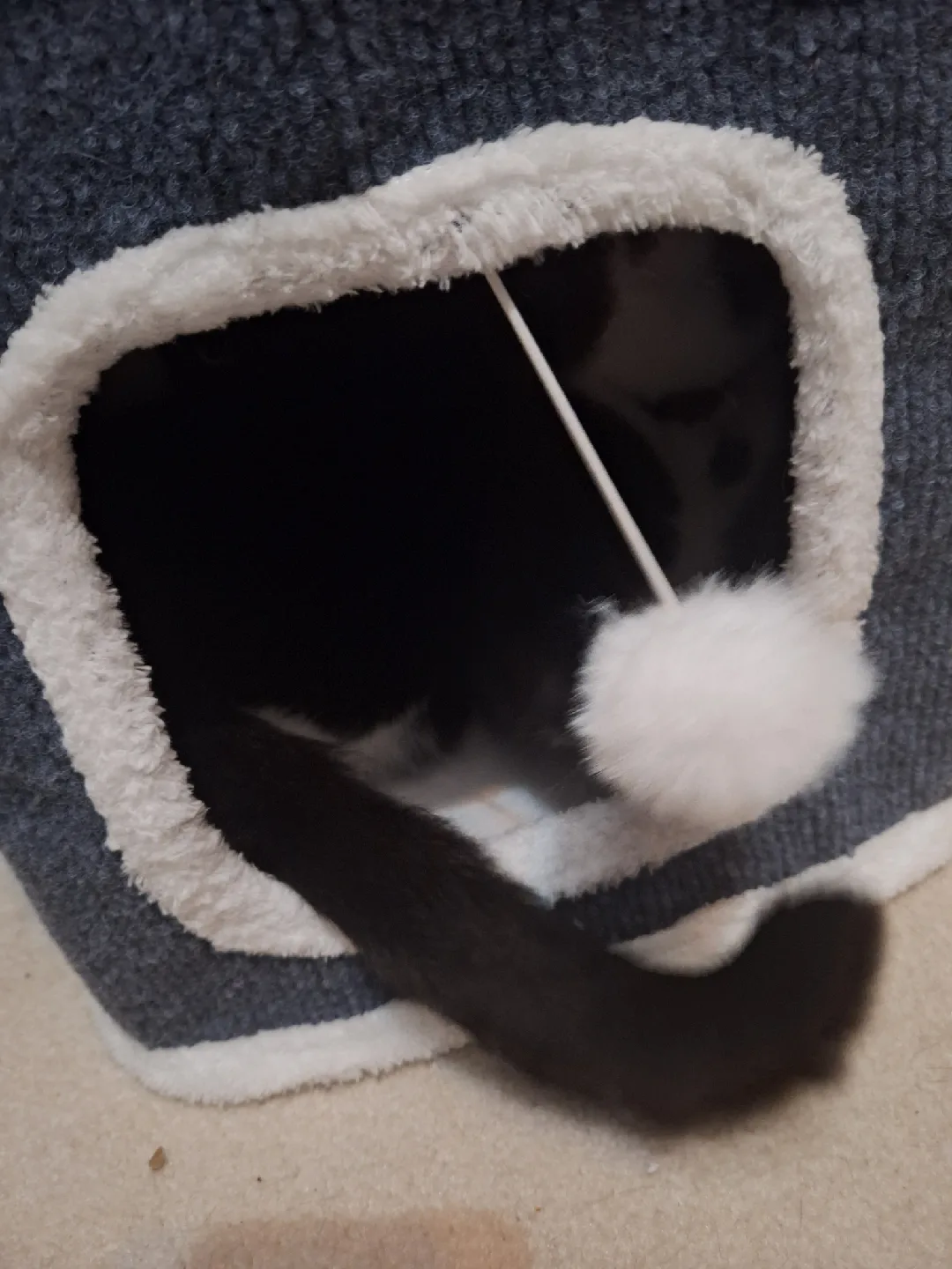 NEW 4-Story Cat Tower with Plush Trim and Hanging Balls image indicator(6)