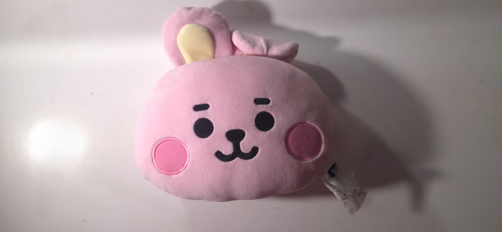 Line Friends BT21 Cooky Plush Pillow
