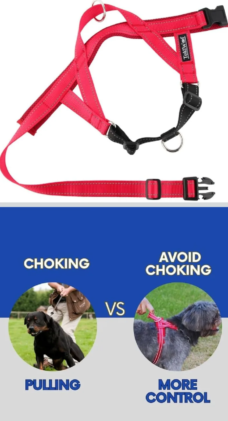 Red Dog Harness - Size M image indicator(4)