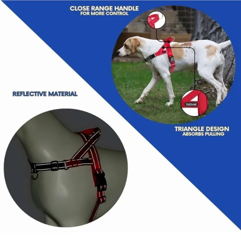 Red Dog Harness - Size M image indicator(5)
