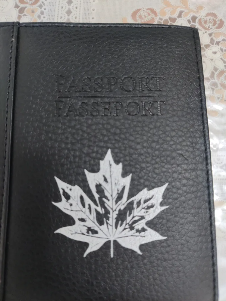 Passport Wallet RFID Pochette - Royal Specialty Sales image indicator(4)