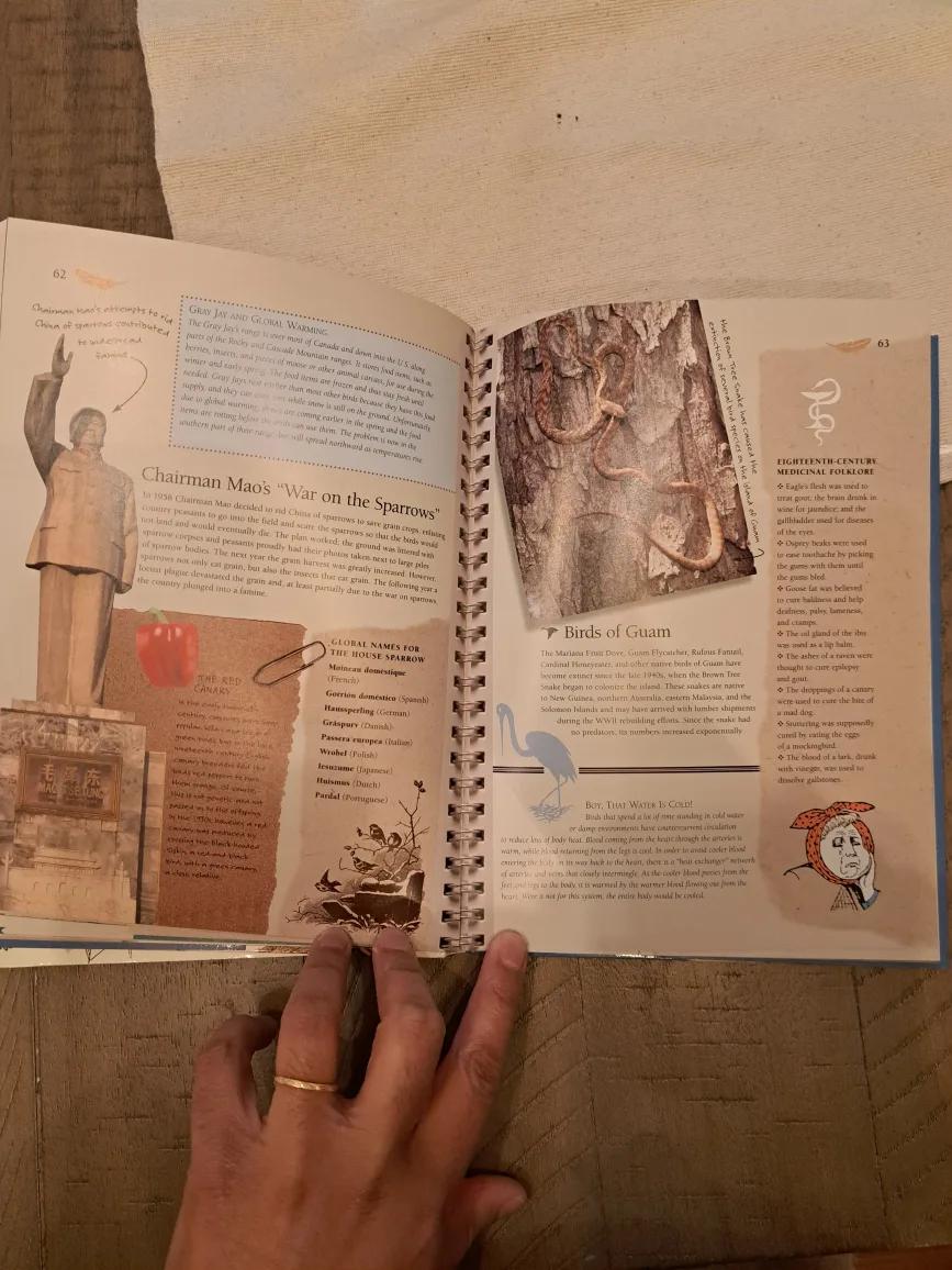 Books for Birders🥕 image indicator(4)