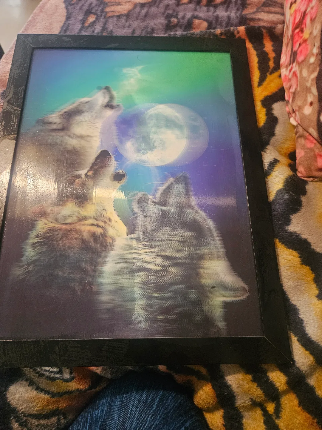 Framed Wolf Print thumbnail