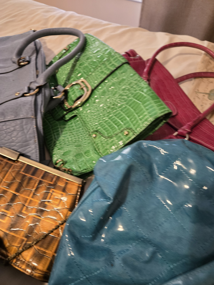 🥕Assorted  Handbags & Purses,  $5 each