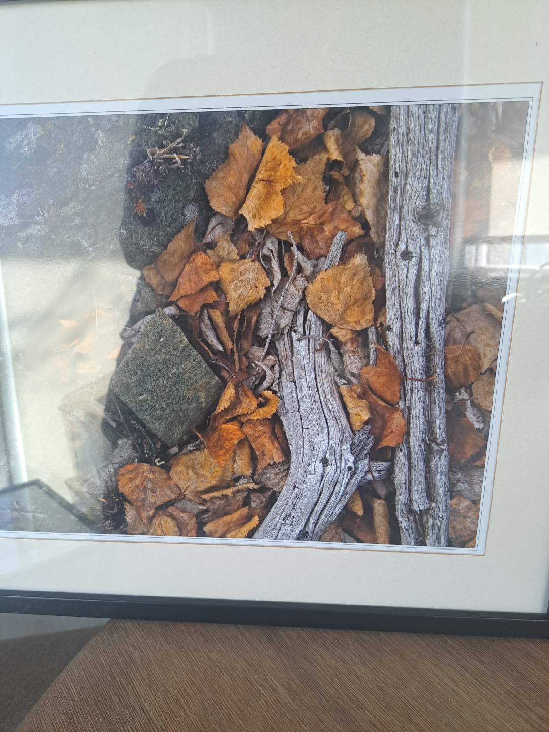 Fall photo in frame - photo 3
