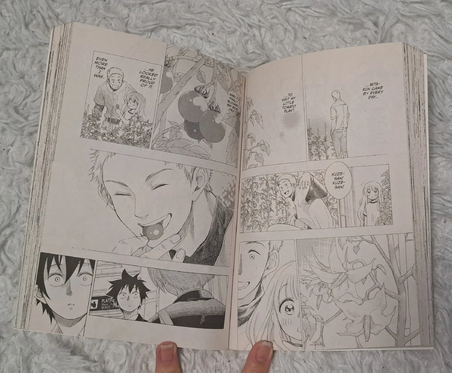 Blue Flag Manga / Book, Volume 1 image indicator(3)