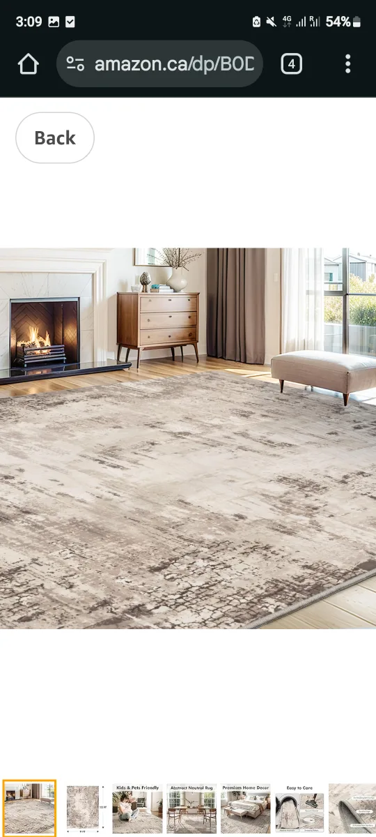 Abstract Neutral Area Rug image indicator(7)