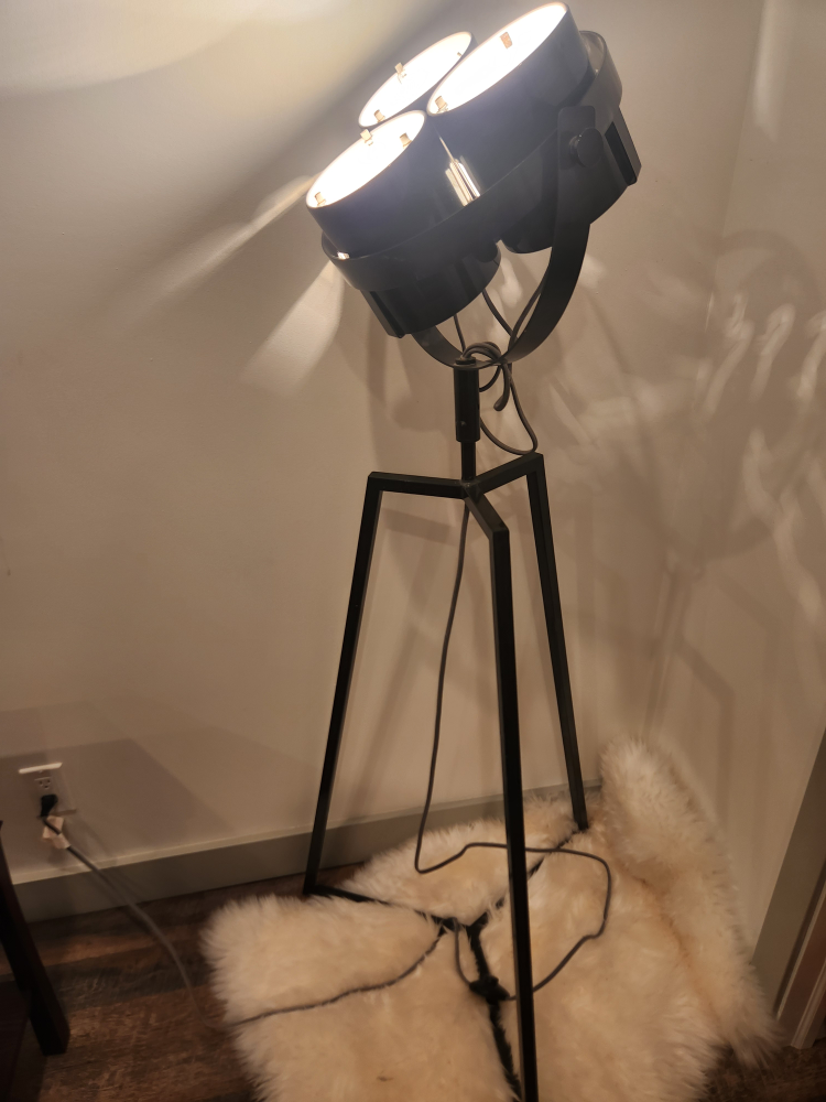 PERFECT 4 FILM MAKERS Tripod Floor Lamp - photo 5