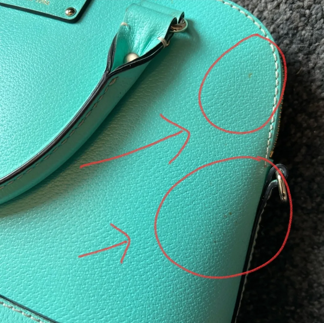 Kate Spade Crossbody or Handbag image indicator(5)