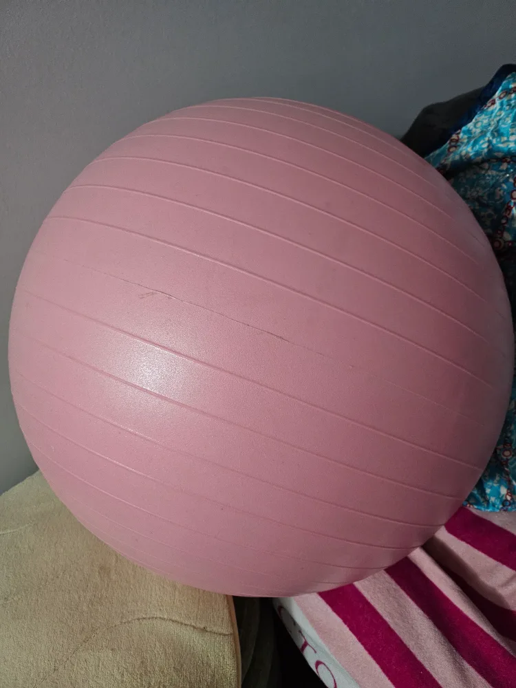 Pink Exercise Ball thumbnail
