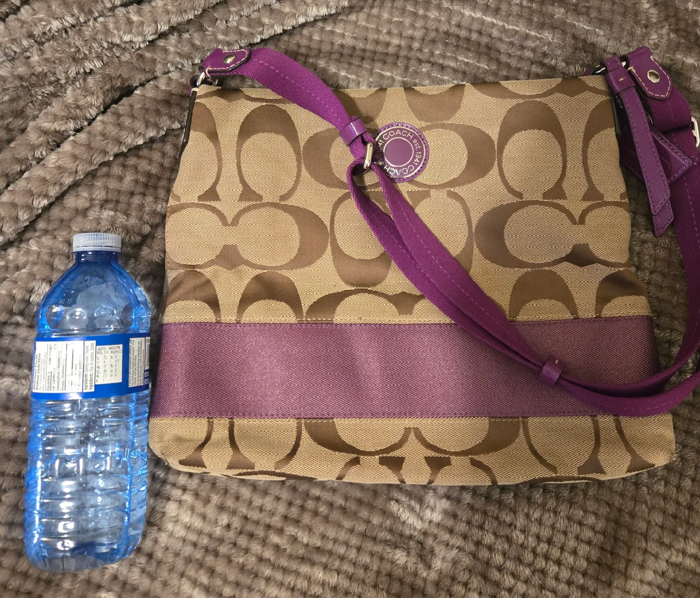 Coach Signature Purple Shoulder Bag image indicator(5)