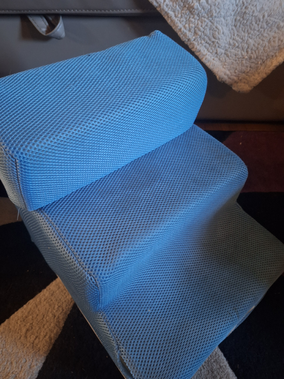 Blue Pet Steps