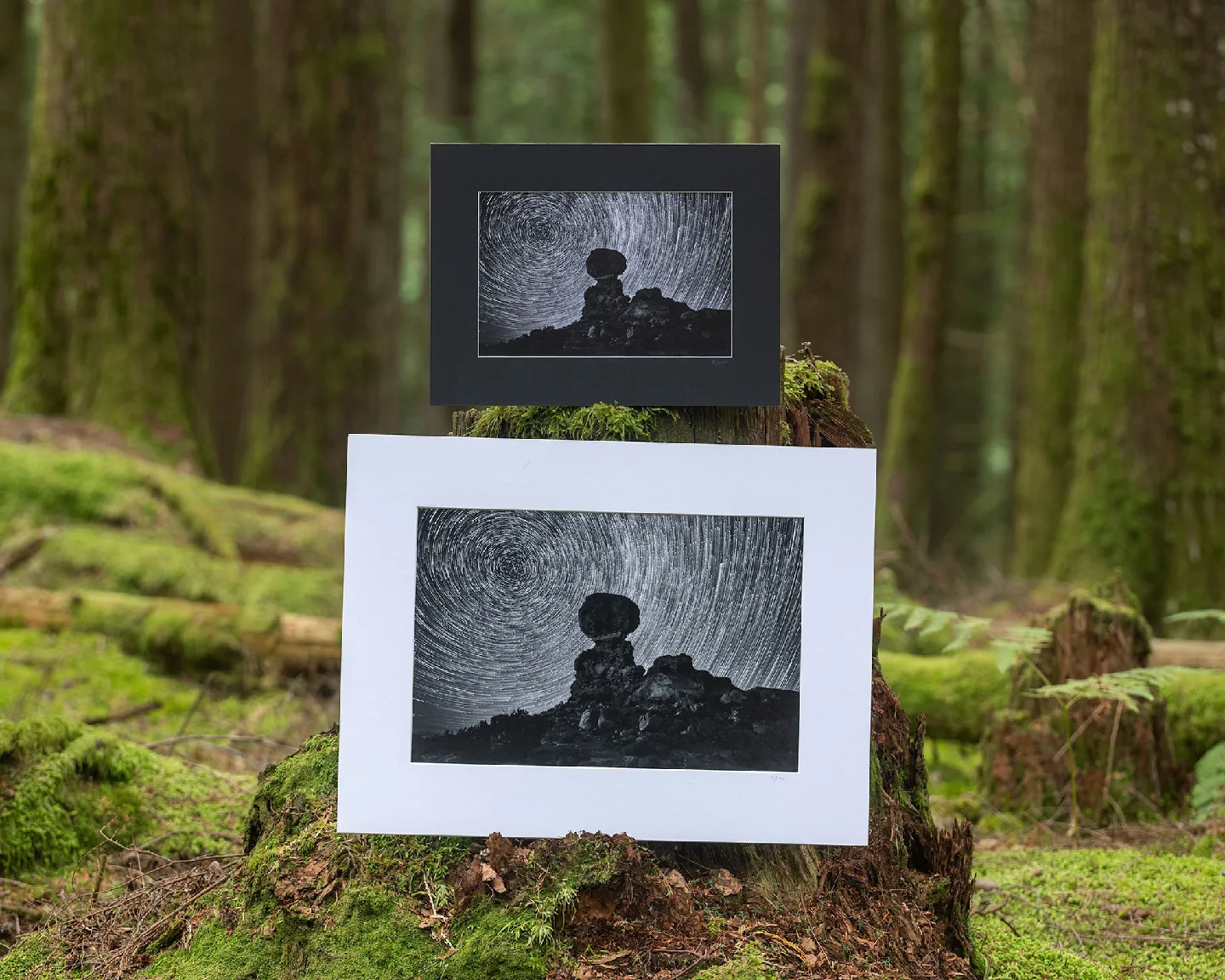 Balanced Rock - Fine art Museum Grade Canvas & Prints image indicator(2)