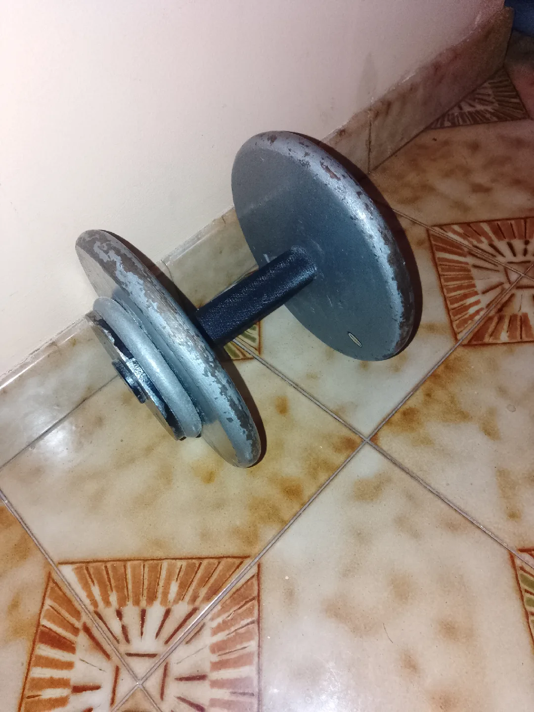 Used Dumbbell 30 lbs thumbnail