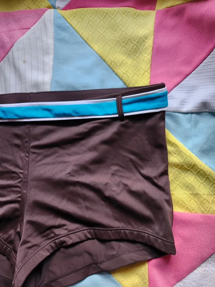 Brown and blue South Point swim shorts image indicator(3)