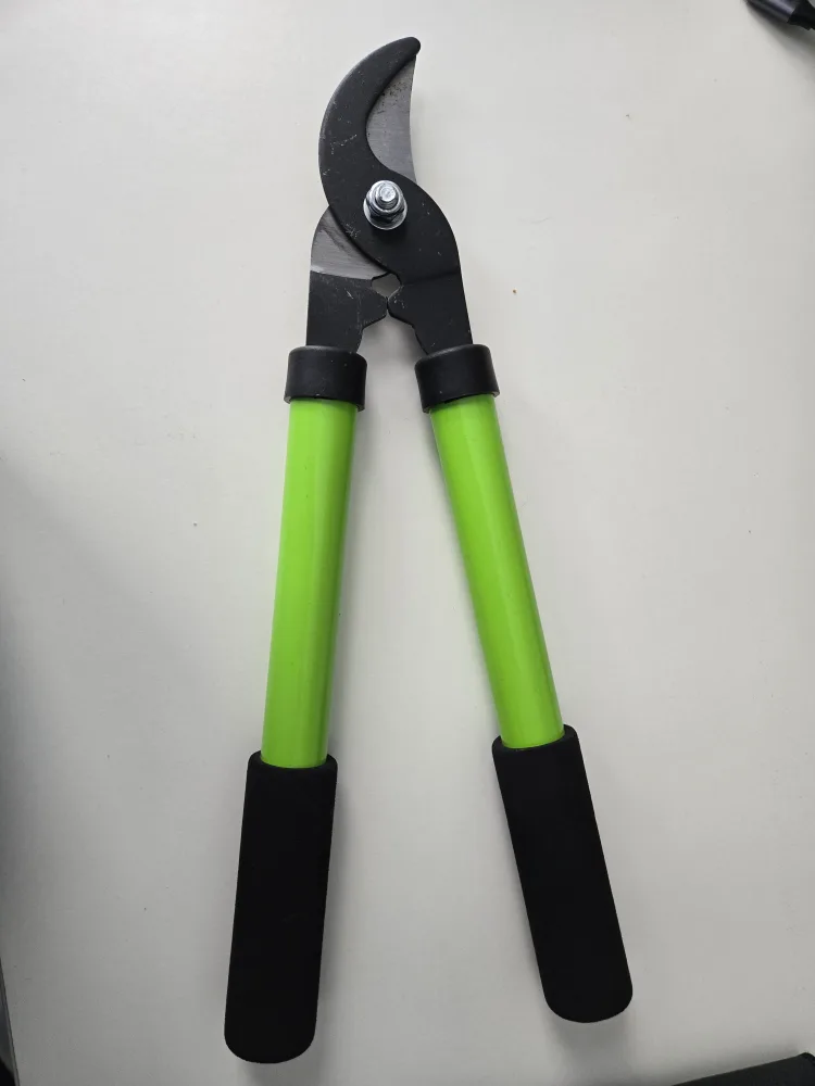 Green handled loppers🥕 thumbnail