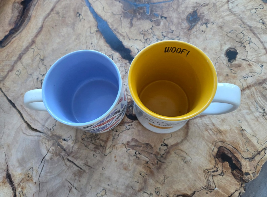 Native Northwest & Dog-Themed Mugs - photo 4